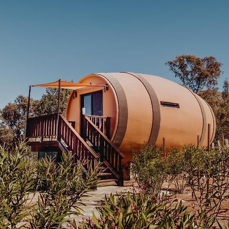 Hotel Finca El Mirador Valle de Guadalupe Exteriér fotografie