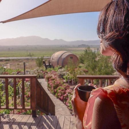 Finca El Mirador Valle de Guadalupe Exteriér fotografie
