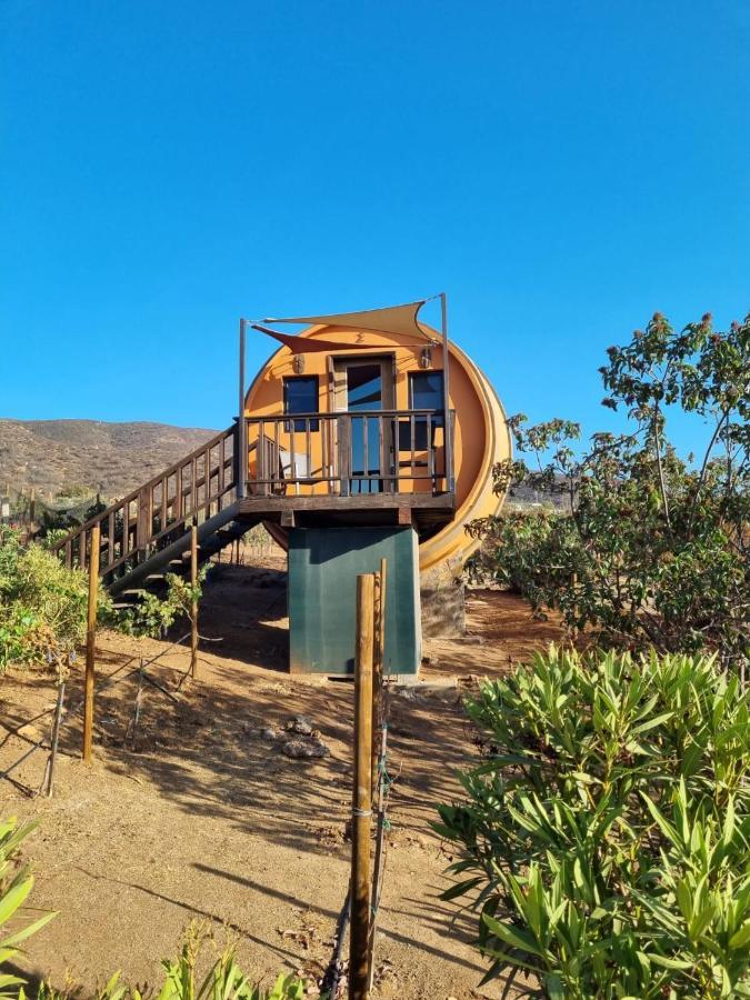 Hotel Finca El Mirador Valle de Guadalupe Exteriér fotografie