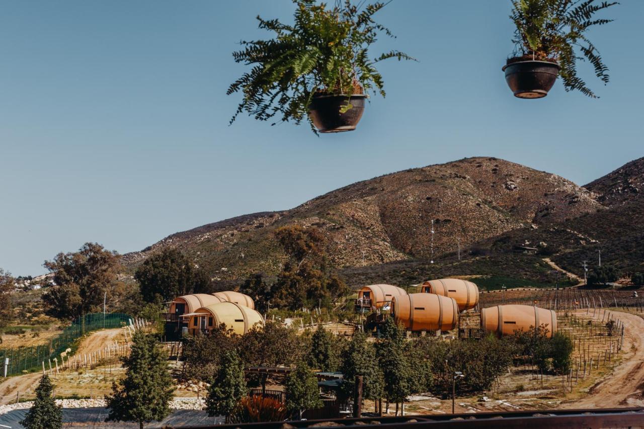 Finca El Mirador Valle de Guadalupe Exteriér fotografie