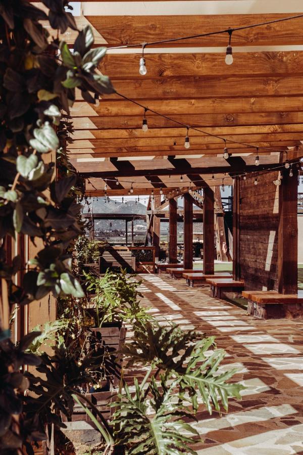 Finca El Mirador Valle de Guadalupe Exteriér fotografie