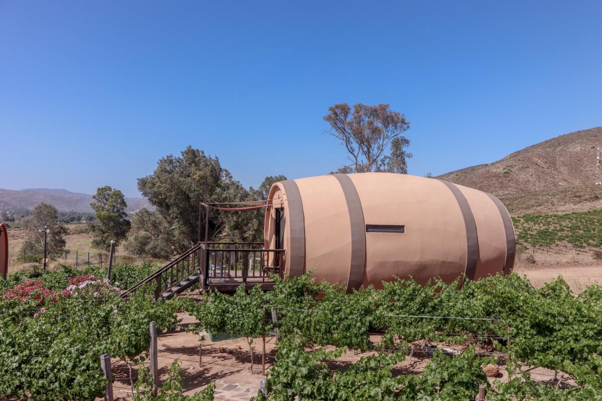 Finca El Mirador Valle de Guadalupe Exteriér fotografie