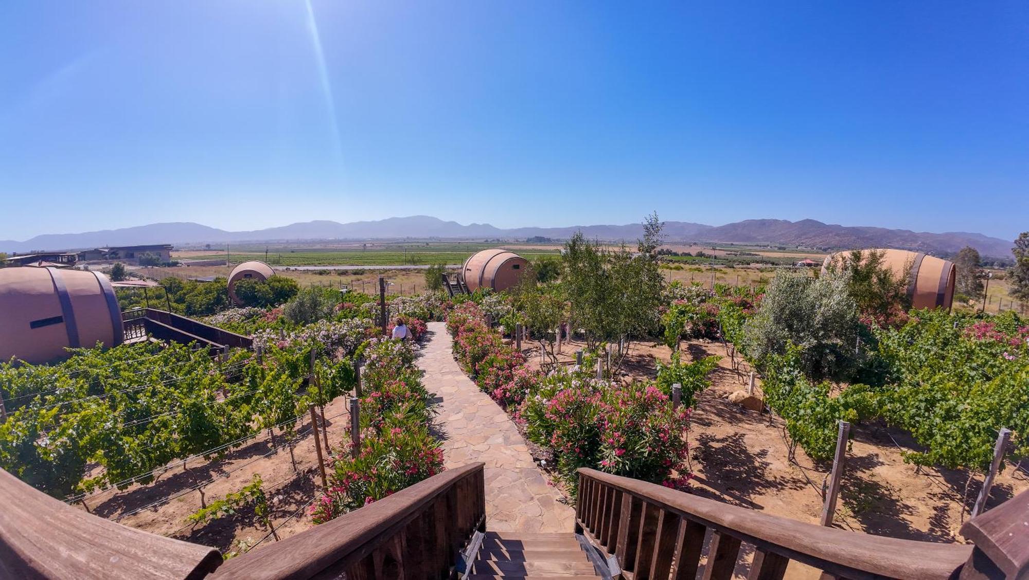 Finca El Mirador Valle de Guadalupe Exteriér fotografie
