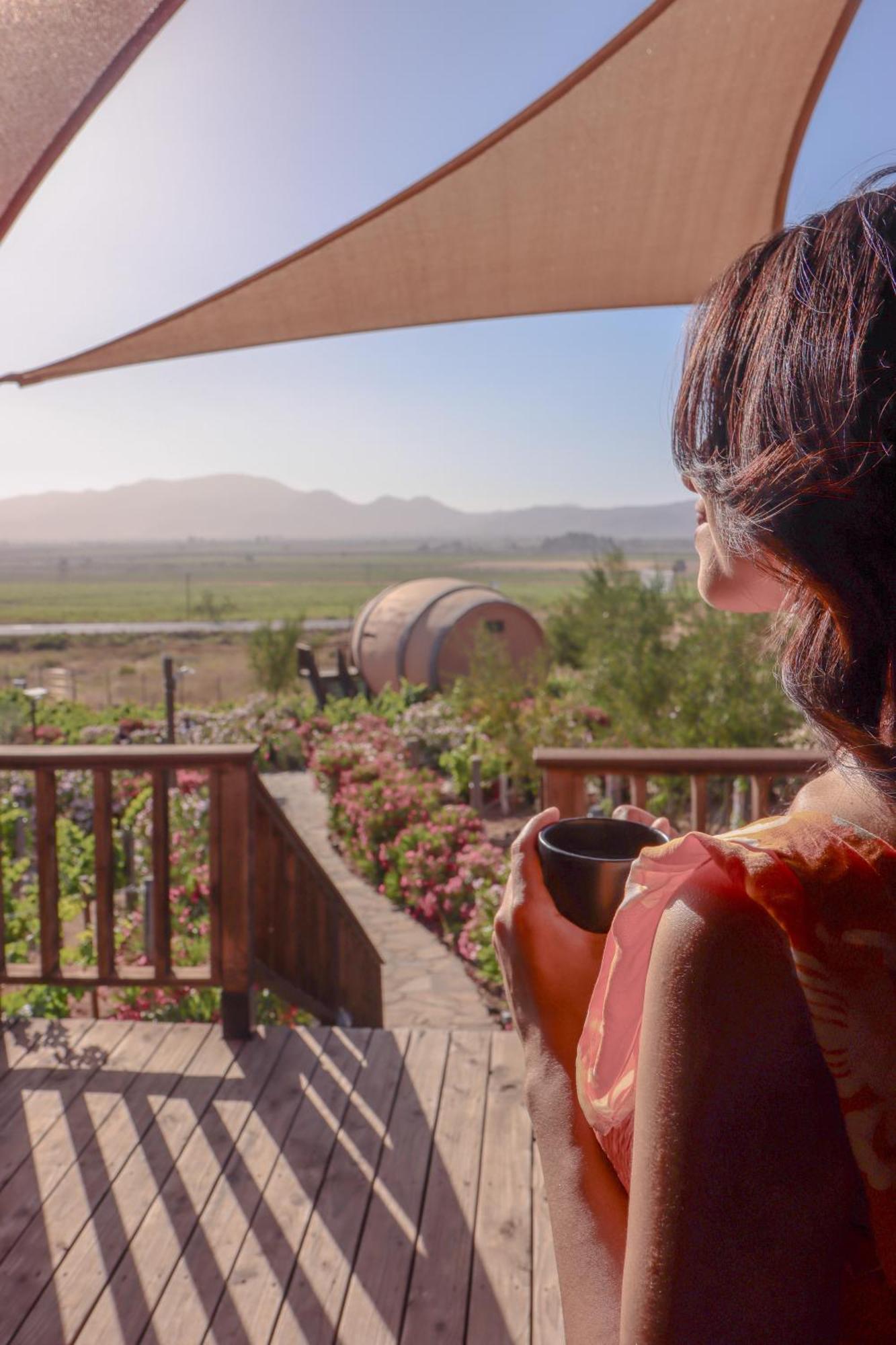 Finca El Mirador Valle de Guadalupe Exteriér fotografie